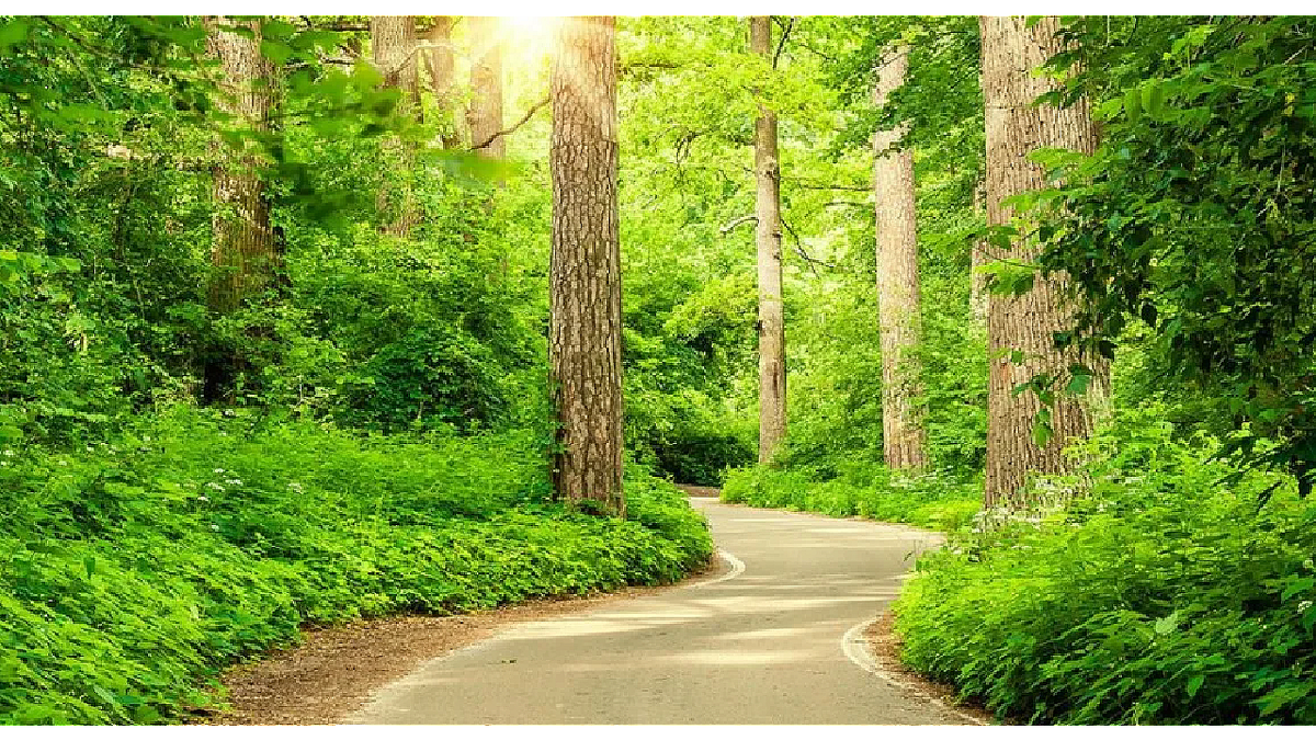 Картинка взята в интернете