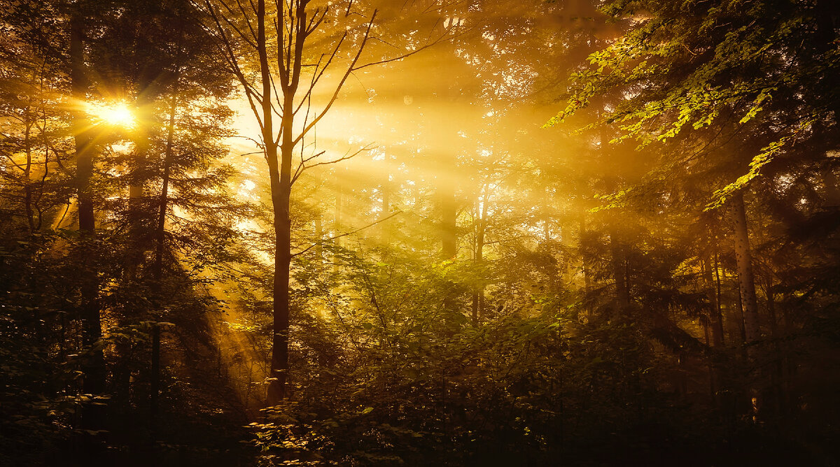Фотограф: Ray Bilcliff