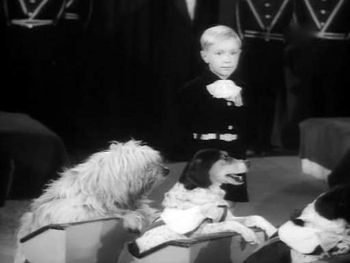 Кадр из фильма "Два друга" (1954)