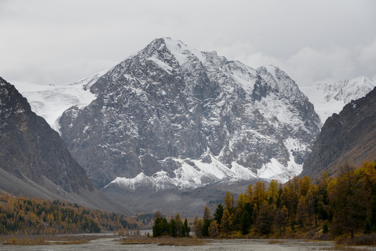 © Татьяна Валько/ТАСС