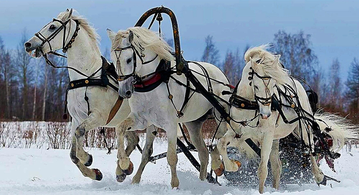 тройка с бубенцами (яндекс-картинки)