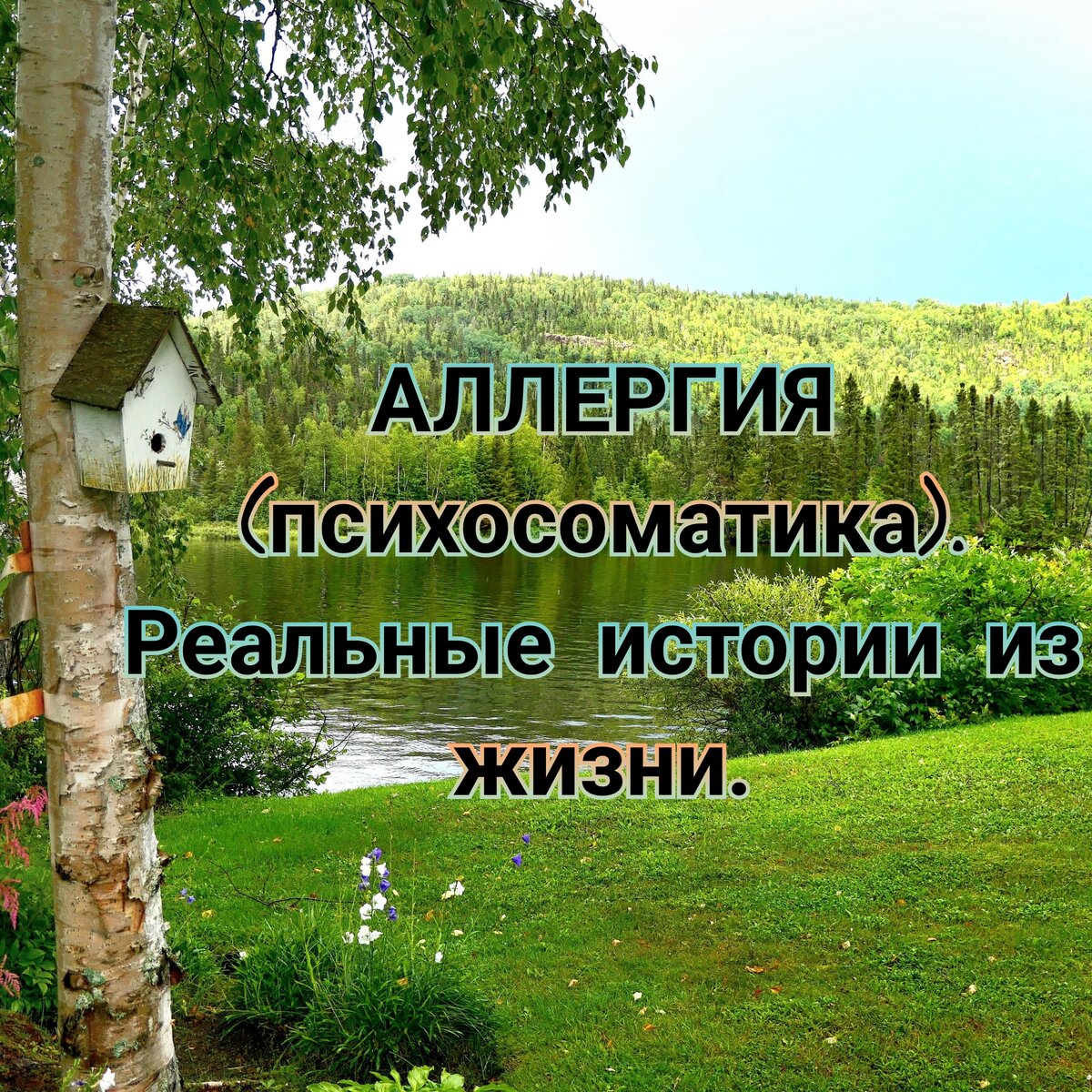 Аллергия. Психосоматические причины. | Психолог.Целитель души, тела и  психики Сергей Новиков ✨ | Дзен