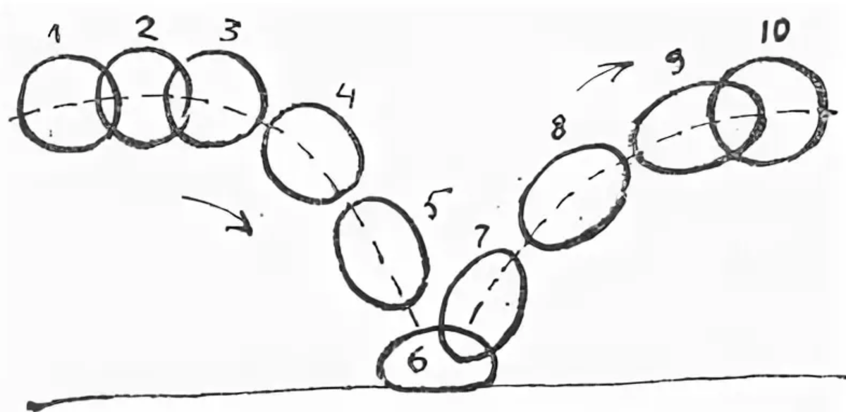 Хрестоматийная раскадровка мультипликации падения мяча на 10 кадров. Также иллюстрирует один из принципов анимации " Сжатие и растяжение".
