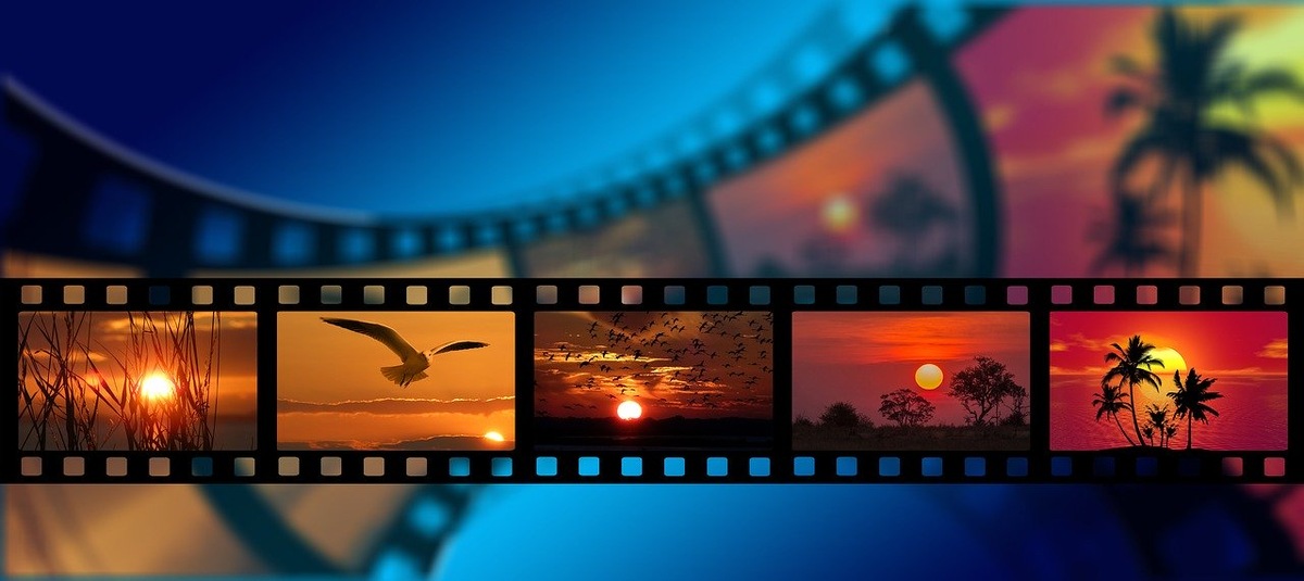 Источник фото сайт pixabay.com