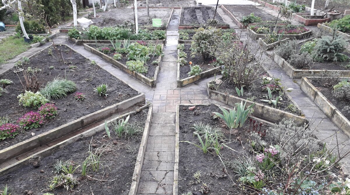 Вот такая звезда (фото из личного архива)