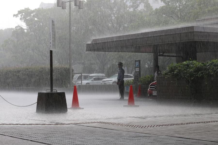 Ливень - уже субтропики