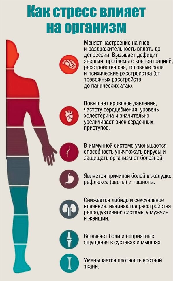 На фото: влияние симпато-адреналовой системы на организм.