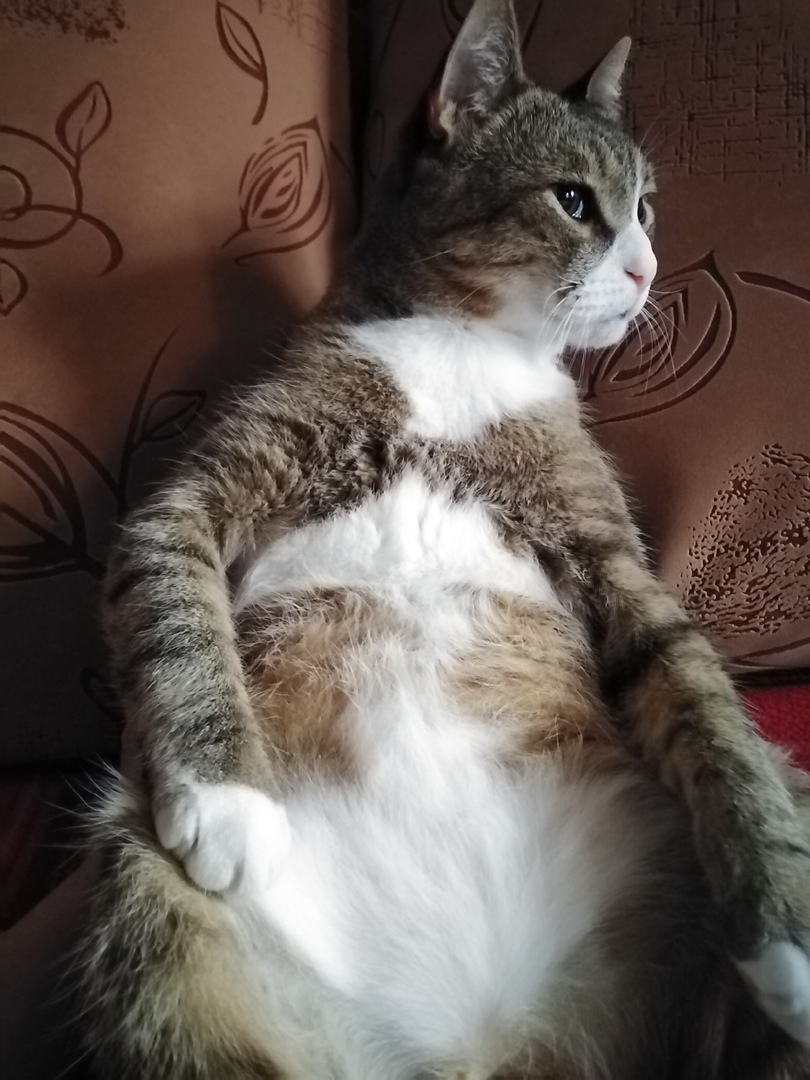 Это я. Правда, я красавчик?
