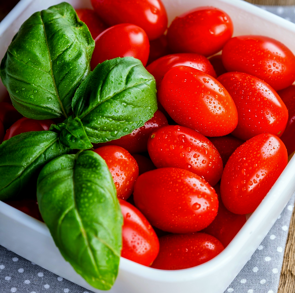 Базилик отпугивает различных вредителей и считается самым лучшим соседом для томатов.