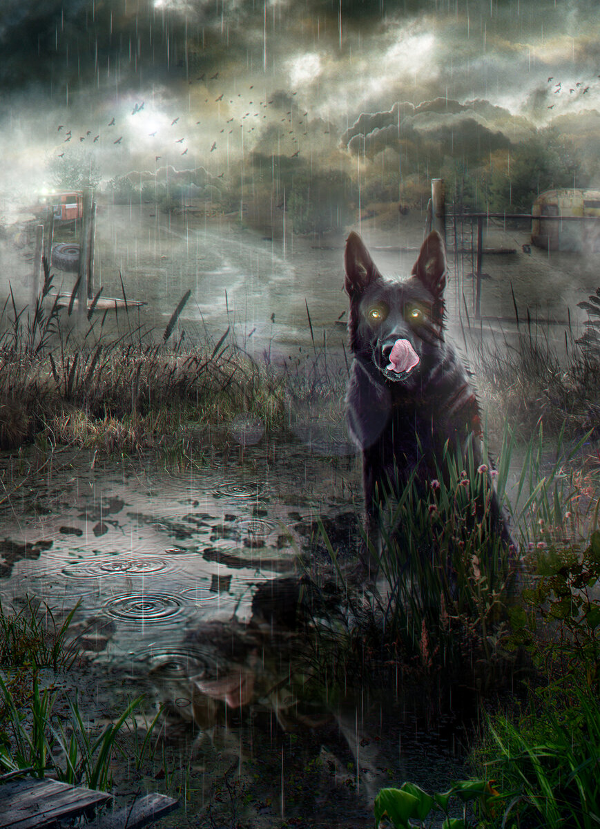 Из открытого источника яндекс 