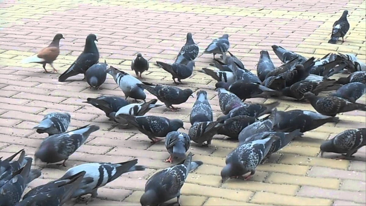 Фото из открытого источника