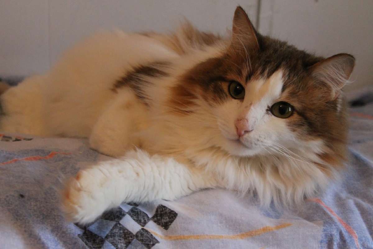 Фотография из личного архива. 