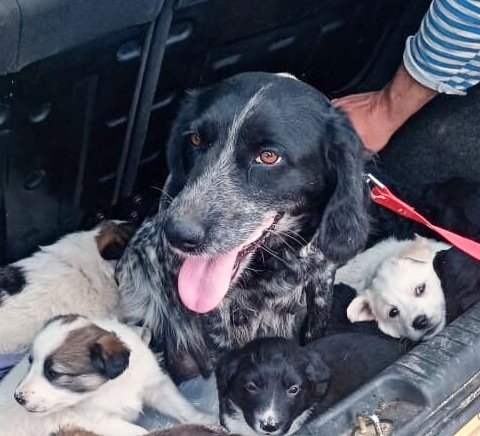 Маня с детьми (их у неё 13 оказалось)