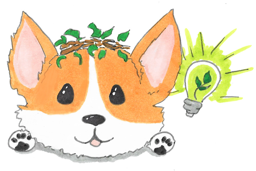 Иллюстрации @saffrontea