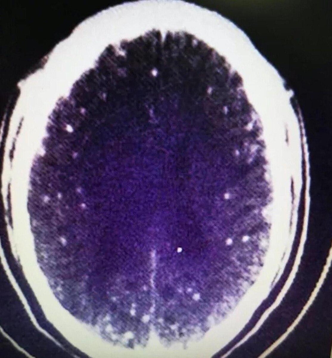 Фото взято из интернета