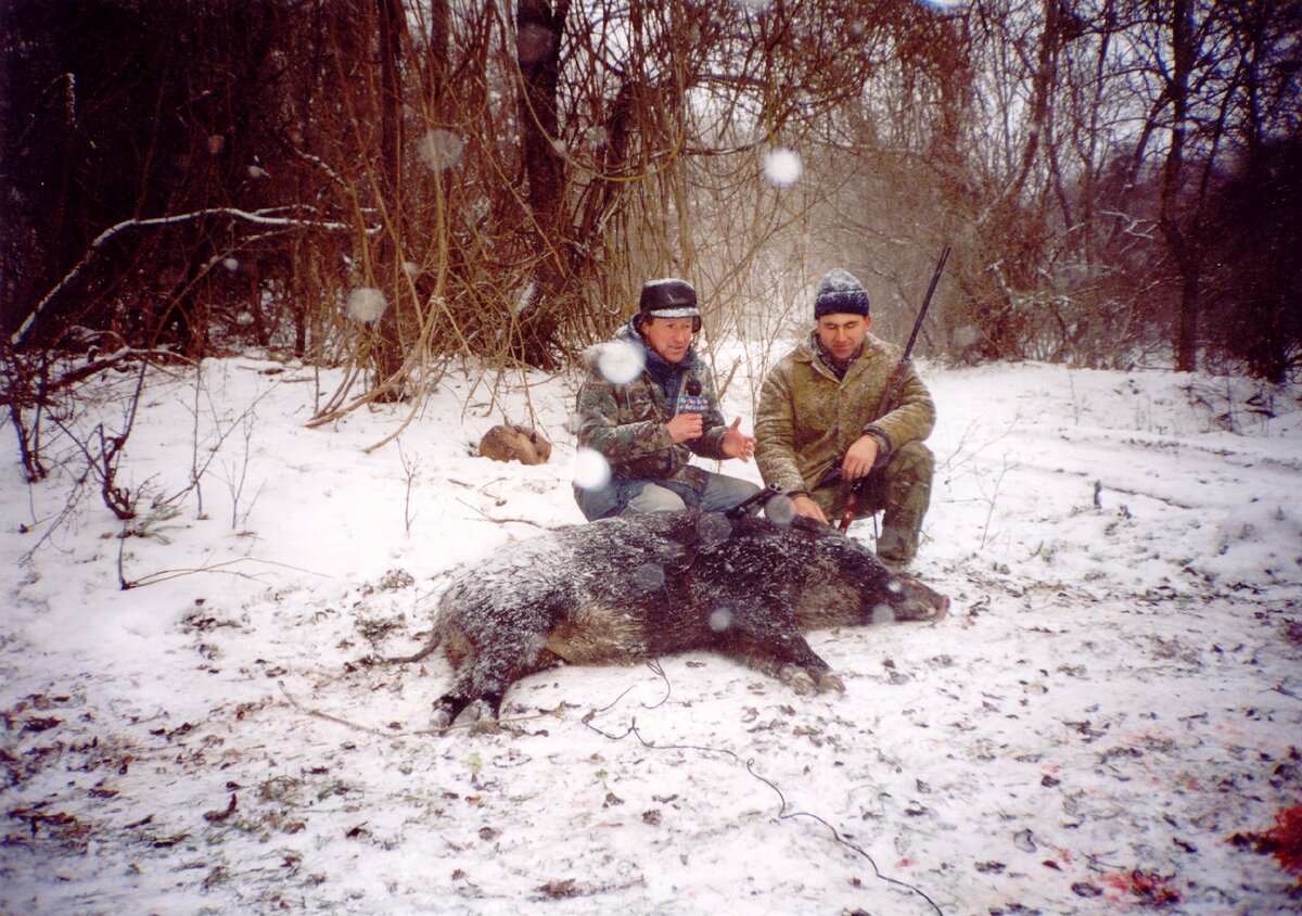 Во время съемок загонной охоты на кабана в урочище Карагач, под Судаком