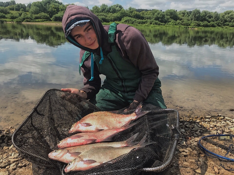 Утром на Оке