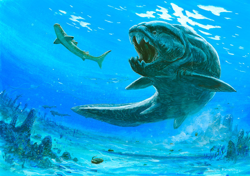 Изображение с сайта Яндекс Картинки