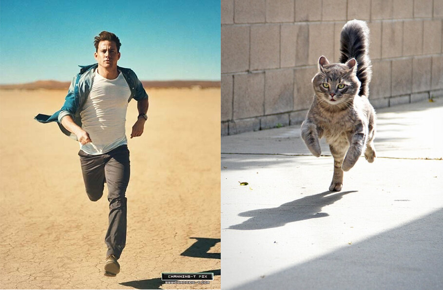 Картинка из открытых источников в сети Интернет