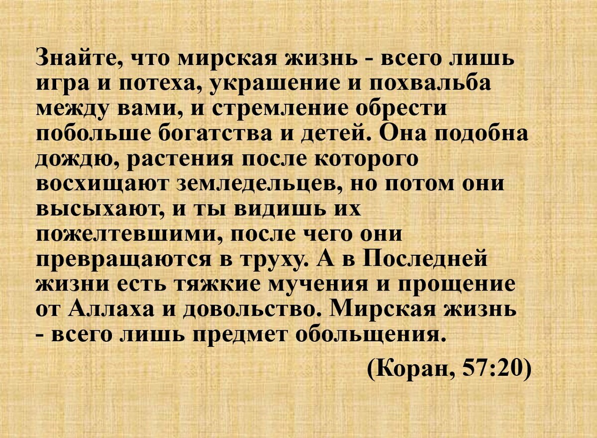 Аяты из Священного Корана, которые приносят вдохновение (5). | Ислам в  вопросах и ответах | Дзен