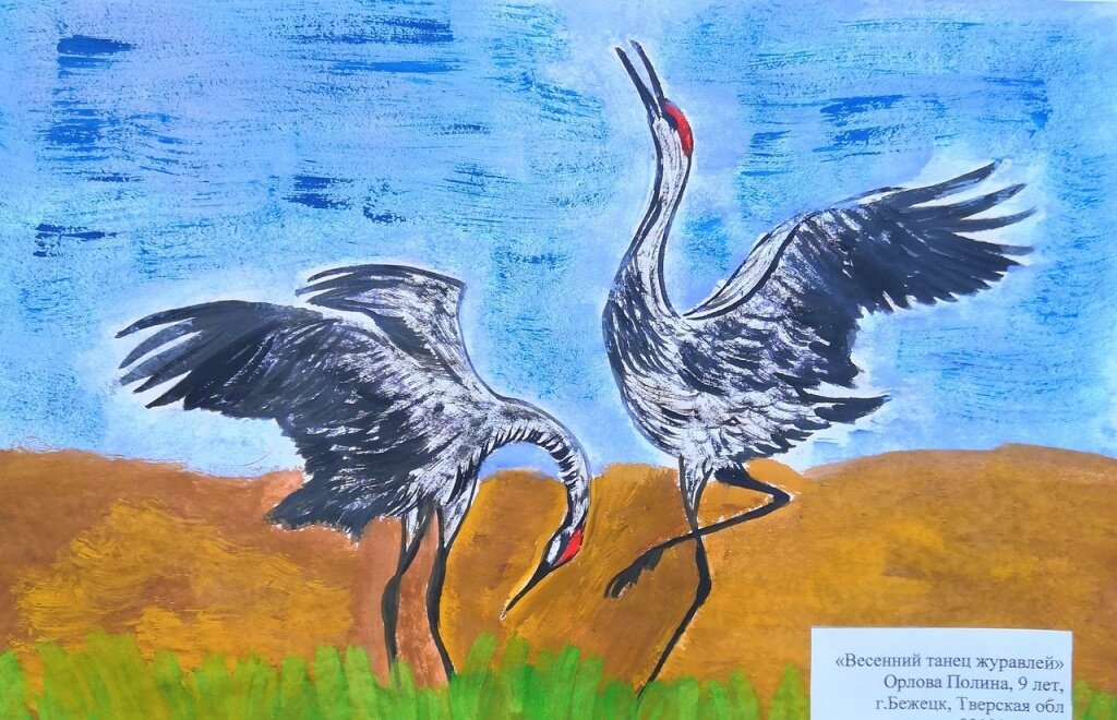 В Тверской области выбрали лучшие детские рисунки редких животных