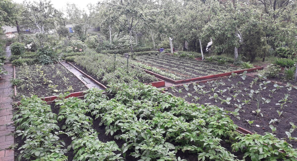 Май 2020 (фото из личного архива)