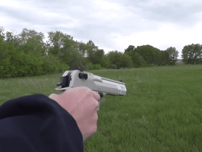 Стрельба EAGLE KURS 4,5