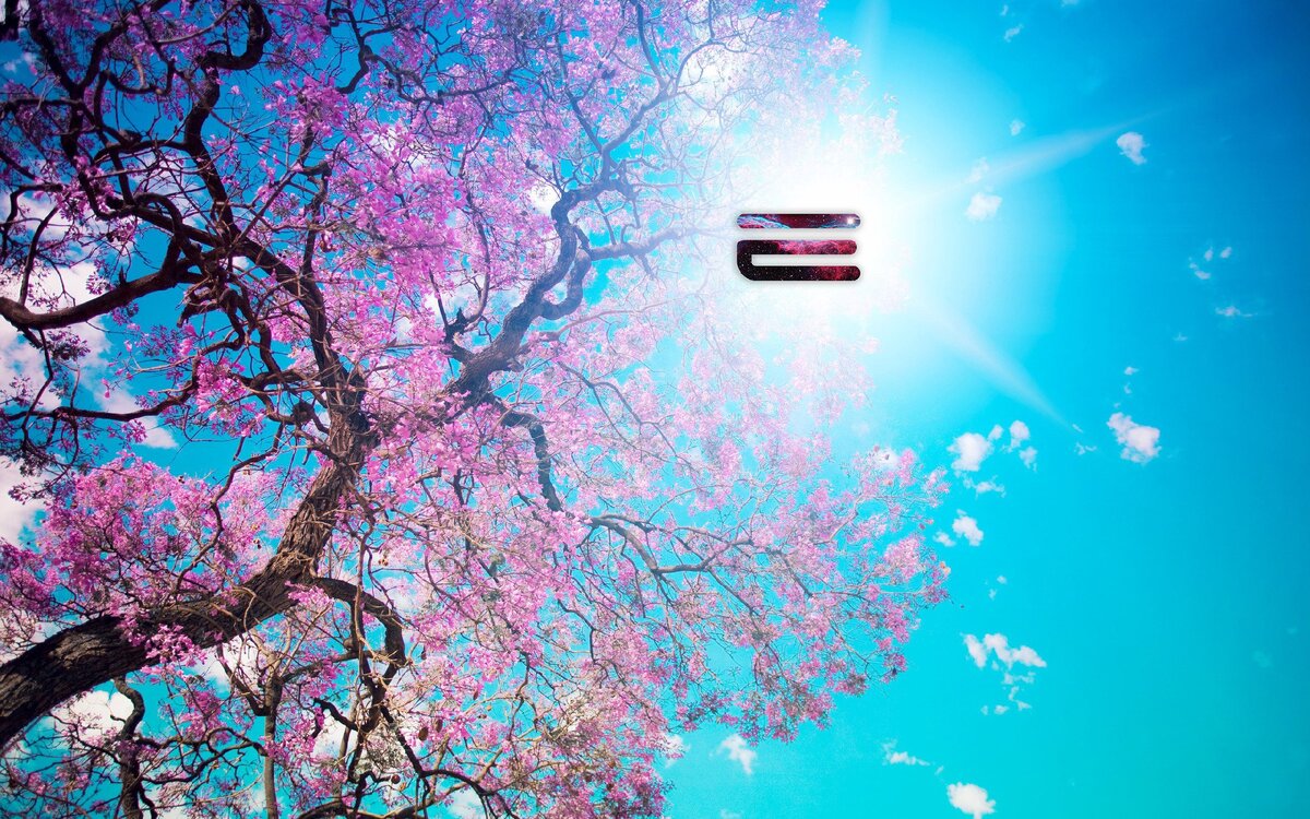 картинки взяты из открытых источников