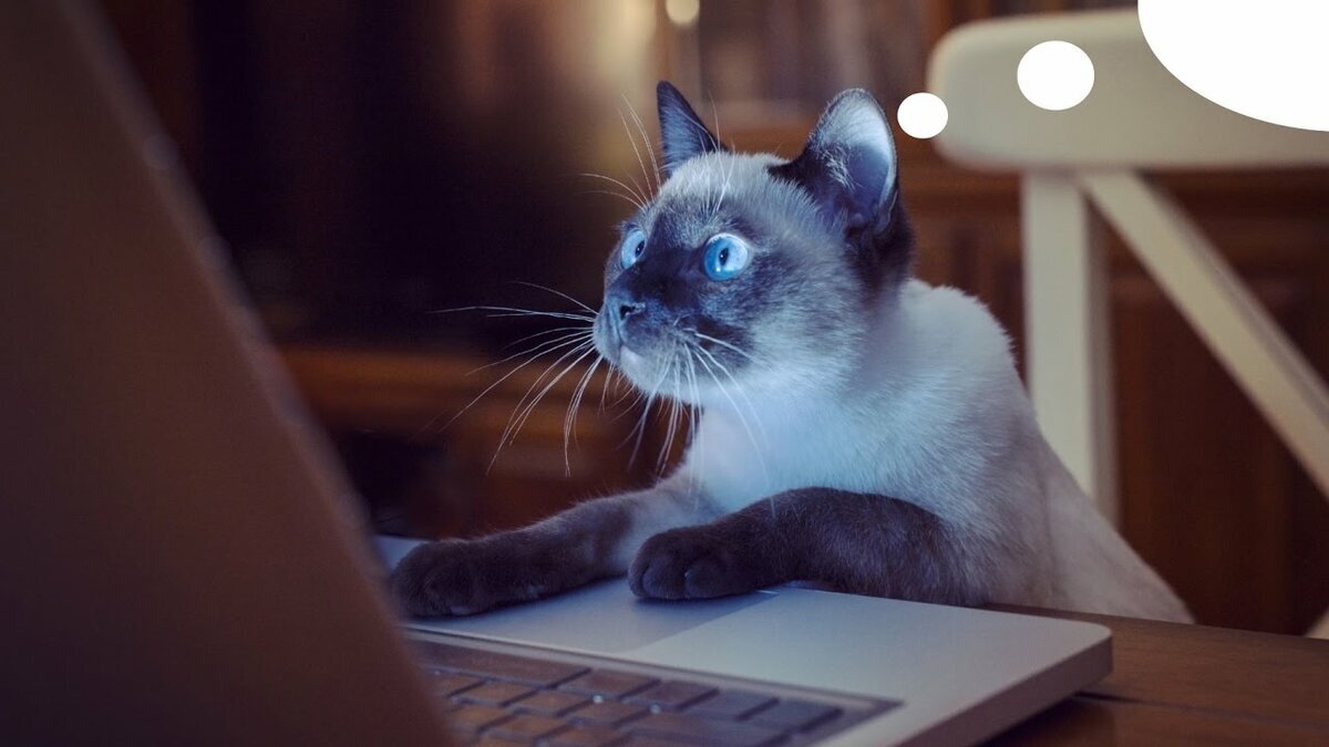 Это я смотрю на статистику канала))