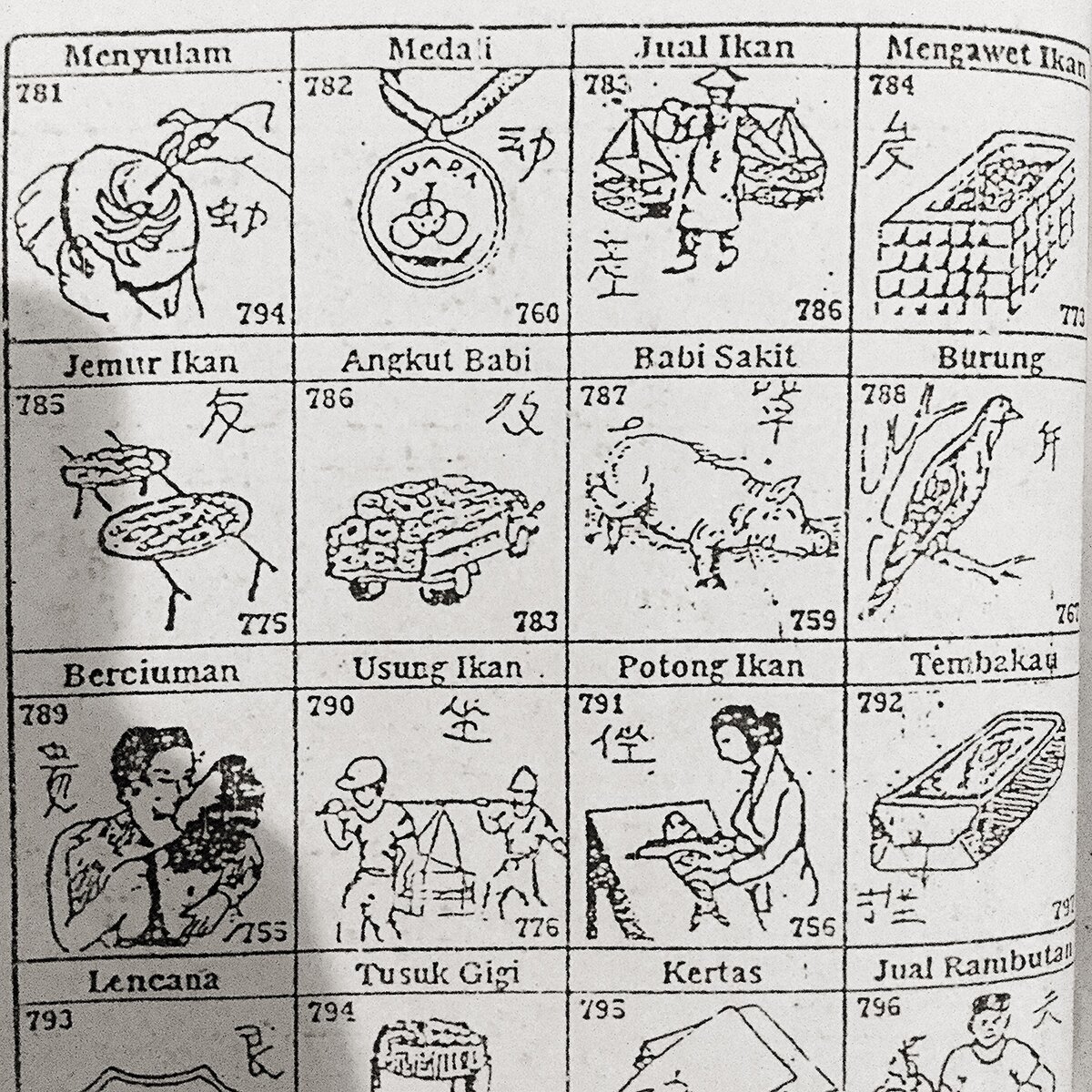 Сонник на все случаи жизни: тут и больная свинья, и разделка рыбы, и поцелуй