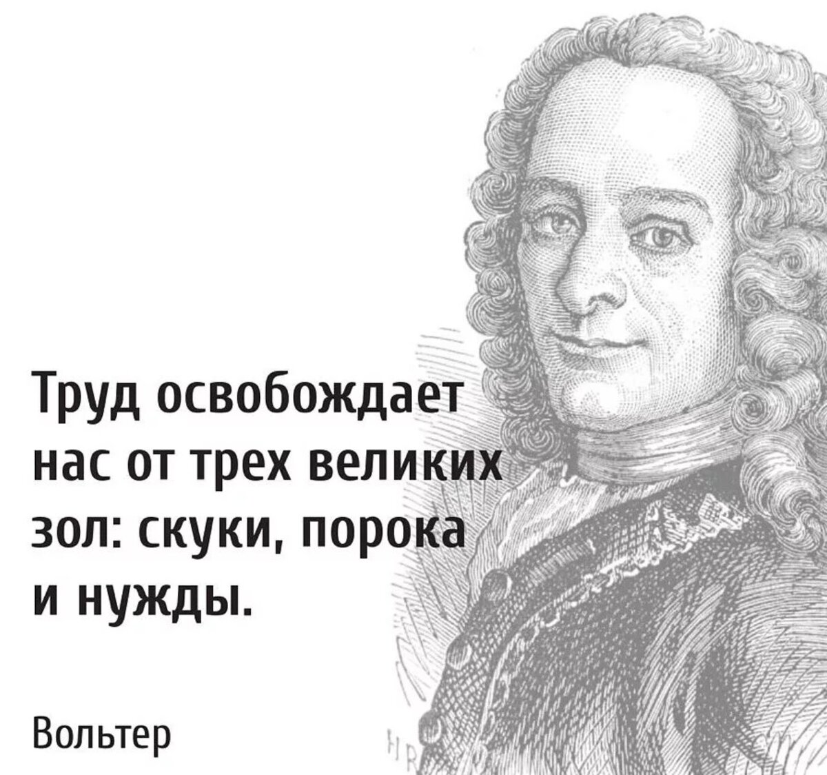 Ироничный и все понимающий вольтер. Вольтер труды. Вольтер цитаты и афоризмы. Ироничный и все понимающий вольтер. 11.
