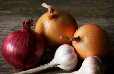 Лук и чеснок