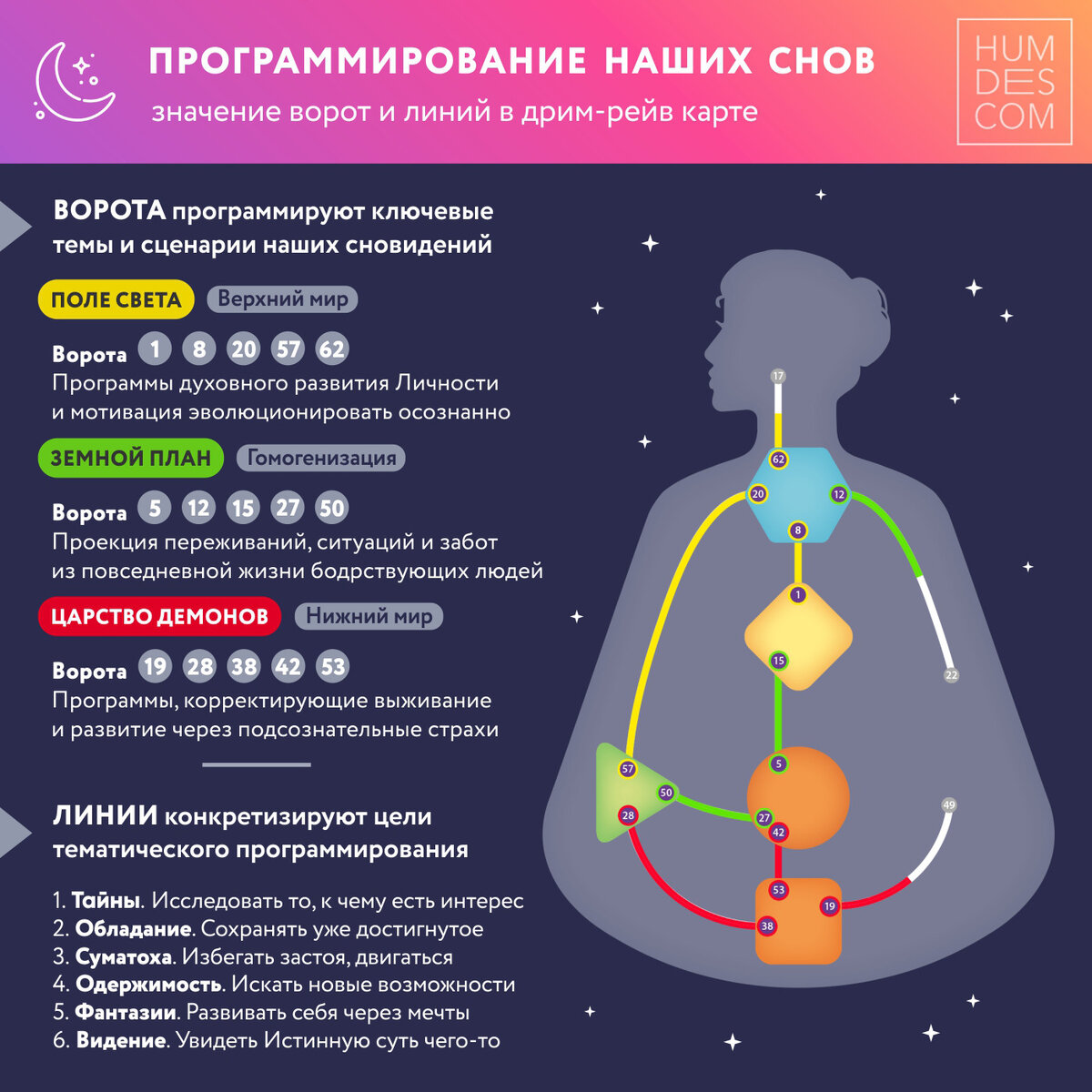 Дизайн человека какие типы. Дизайн человека. Дизайн человека типы. Ворота дизайн человека. Питание в дизайне человека.