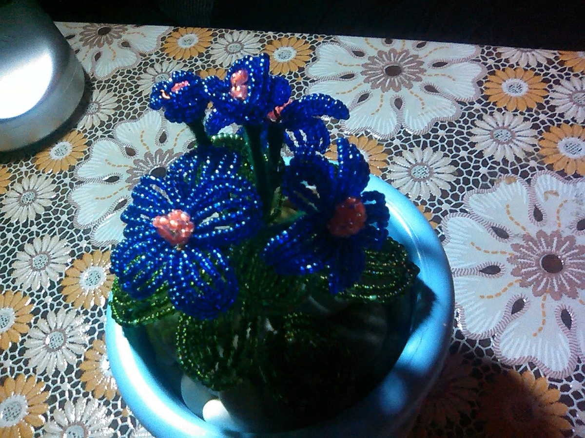  Самый первый цветок. Даже не фиалка.. Просто цветок.