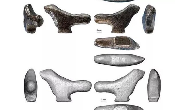 Фото: journals.plos.org