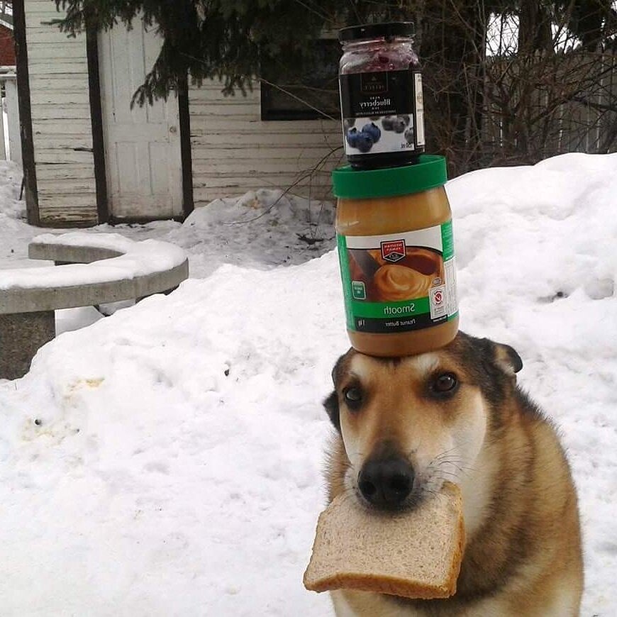 фото из открытых источников Яндекс Картинки.