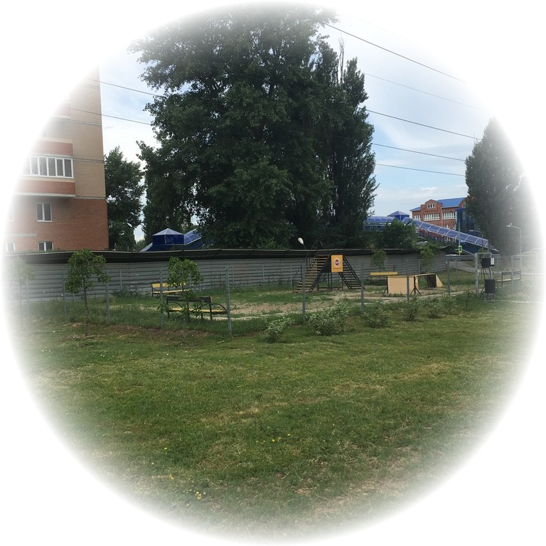 Наша единственная в городе площадка