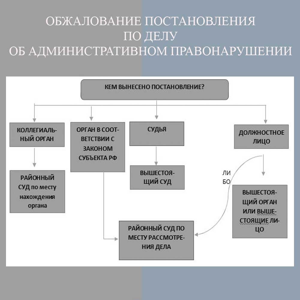 Алгоритм рассмотрения дела об административном правонарушении схема