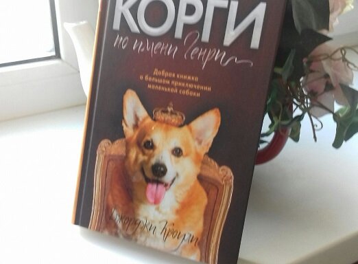 Корги по имени мока. Книга про корги Генри. Корги с книжкой. Корги по имени Генри Джорджи Кроули книга.