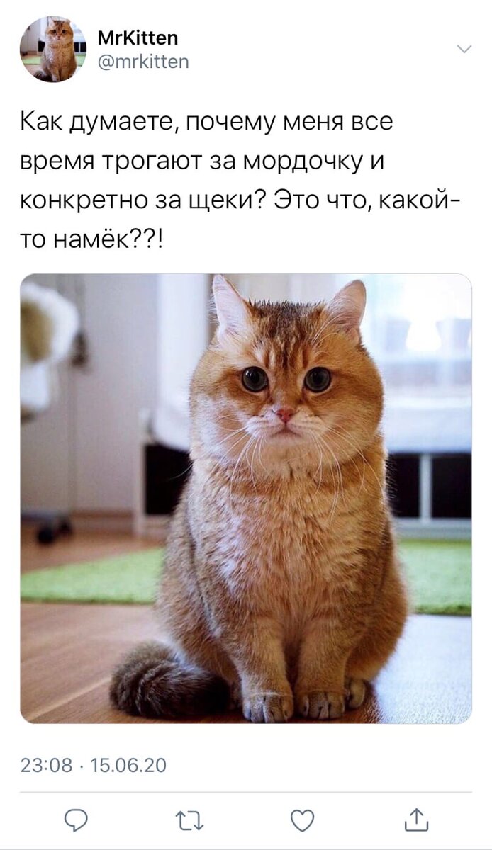 Личный коллаж