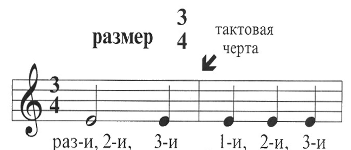 Виды музыкальных размеров. Такт Тактовая черта размер 2/4. Такт затакт Тактовая черта. Тактовая черта 3/4. Такт Тактовая черта размер 3/4.