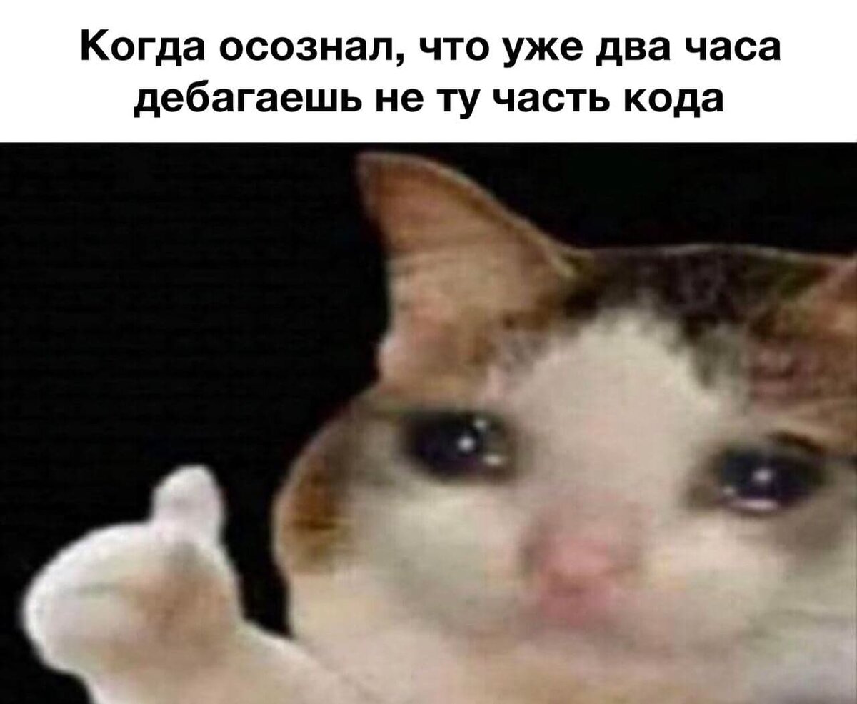 Картинка котик плачет