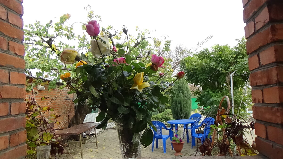 Ноябрь  Последний букет Краснодар