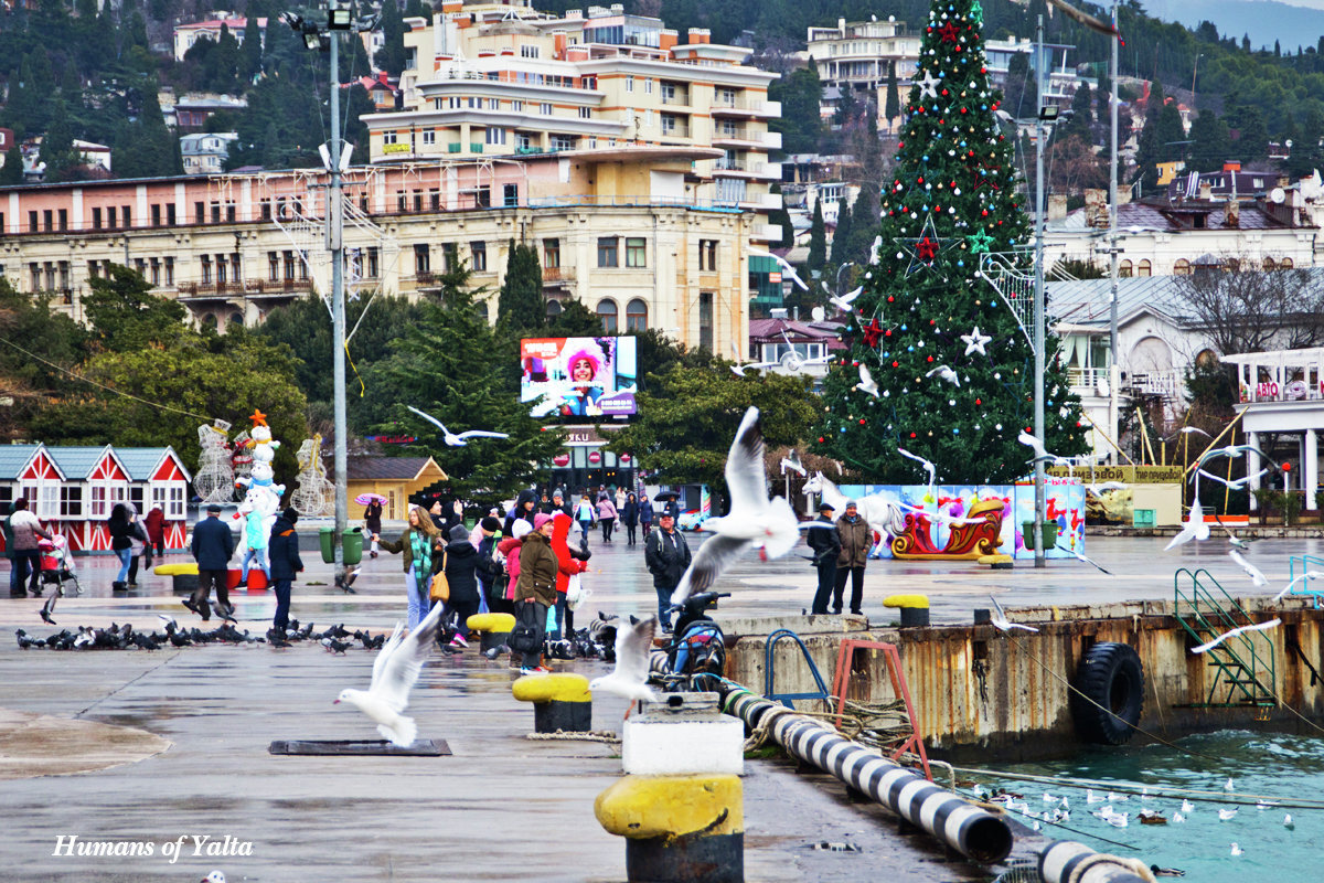 Новый год в Ялте // Фото: Андрей Бурдейный 
