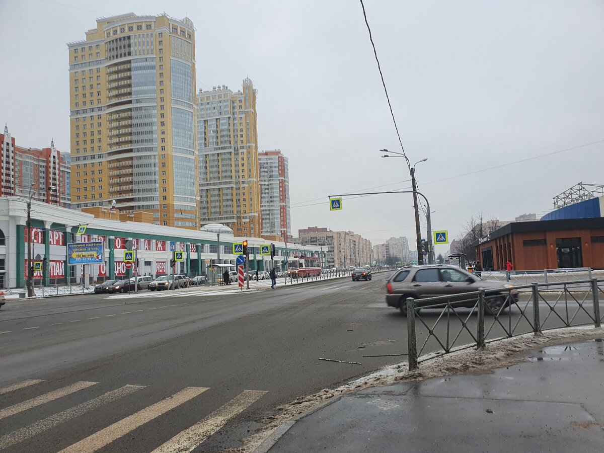 Санкт-Петербург. Проспект Просвещения. Авторская фотография. 