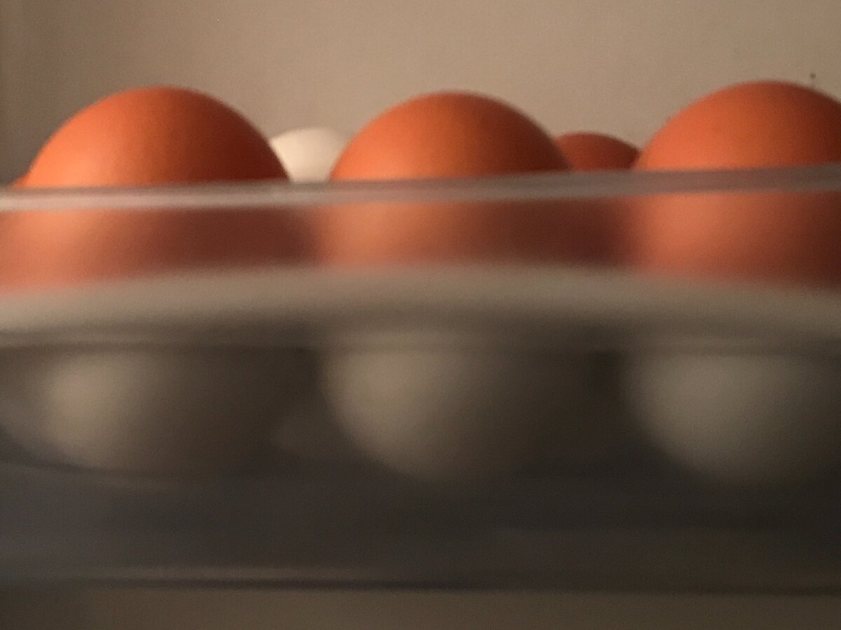 Засланный казачЁк 