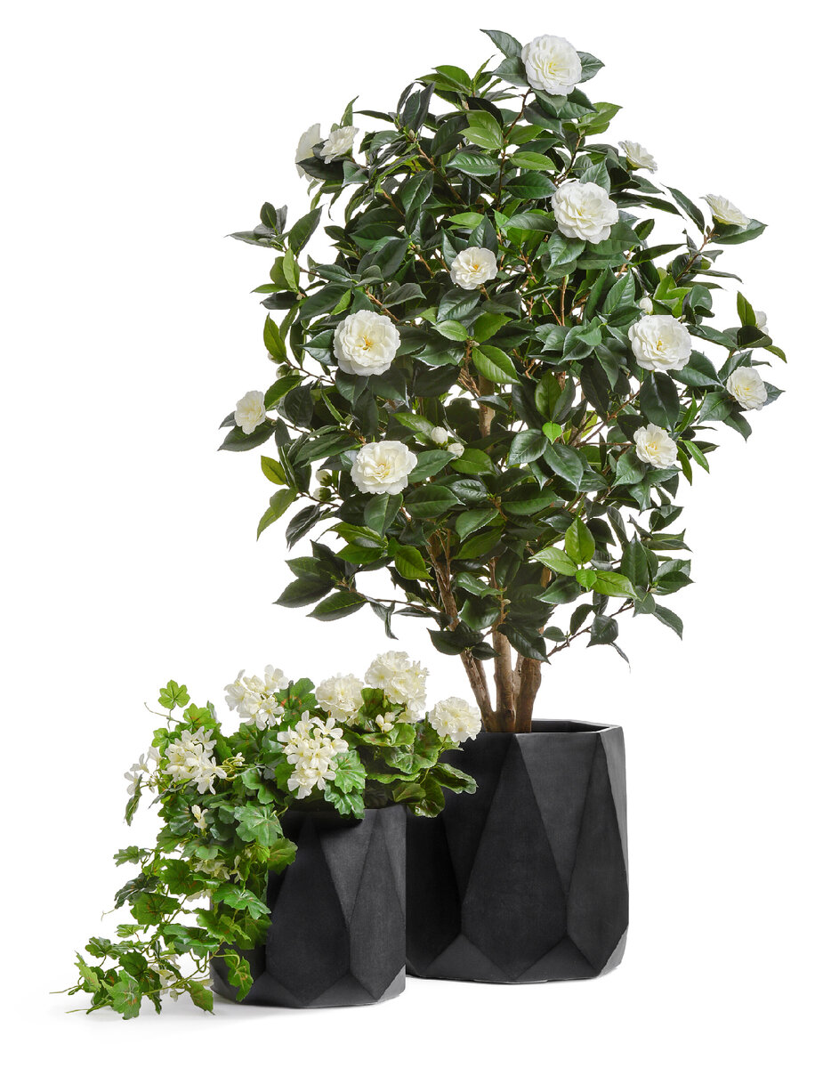 Композиция - искусственная Камелия Японика и ампельная герань марки Treez в кашпо Treez Ergo серии Rombo.