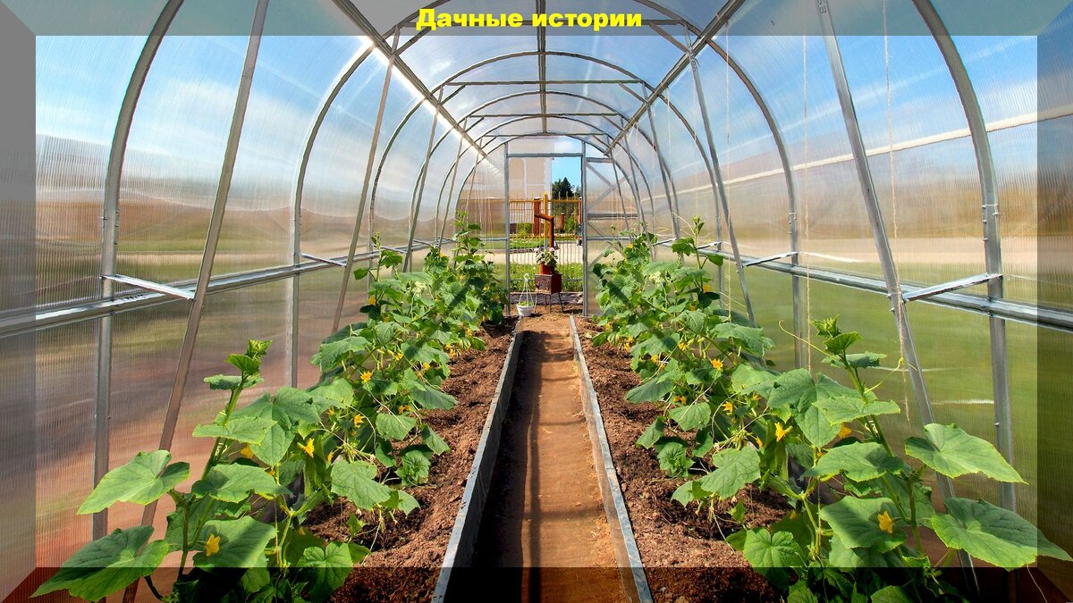 https://vk.com/photo-159774511_457245074