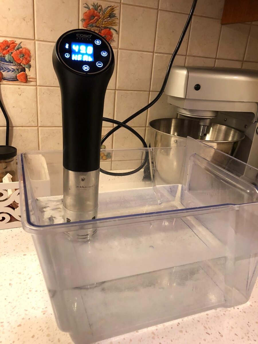 Как выбрать аппарат для sous-vide (су-вид)? | Настя и Су-вид | Дзен