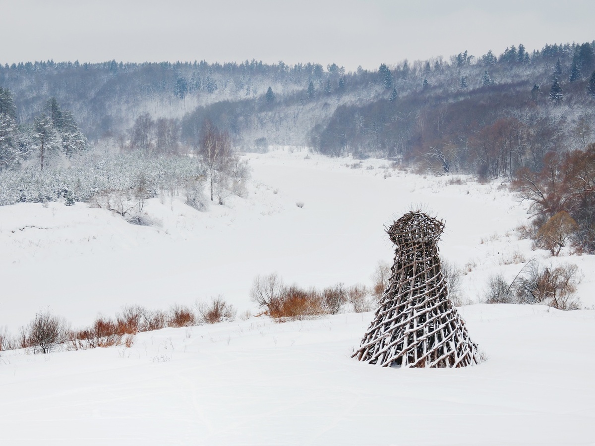 Фото: shutterstock.com